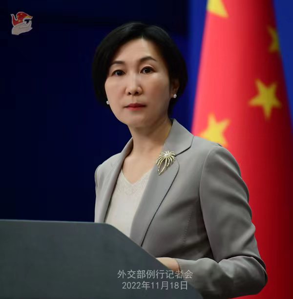 外交部發(fā)言人毛寧。薛偉 攝