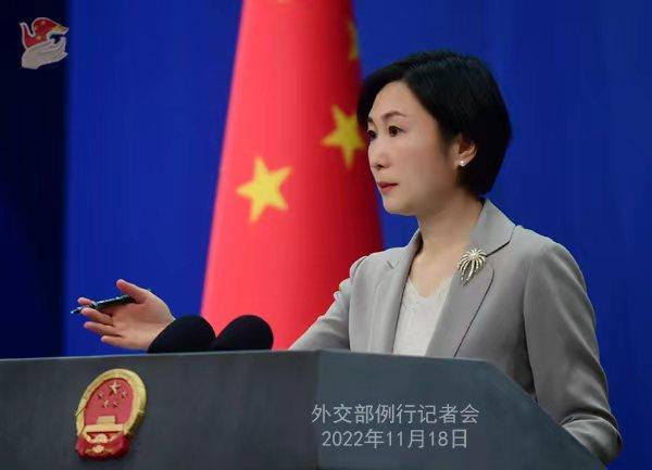 外交部發(fā)言人毛寧。薛偉 攝