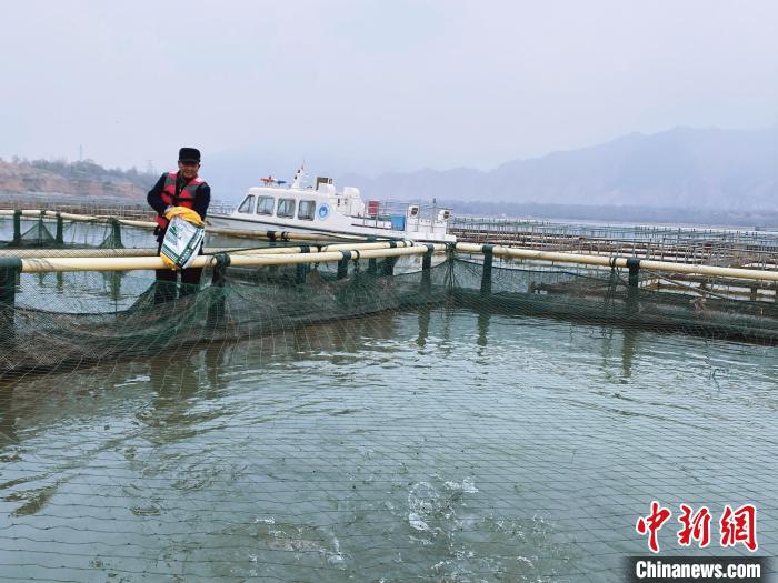 圖為水車村冷水魚養(yǎng)殖?！±钣穹?供圖