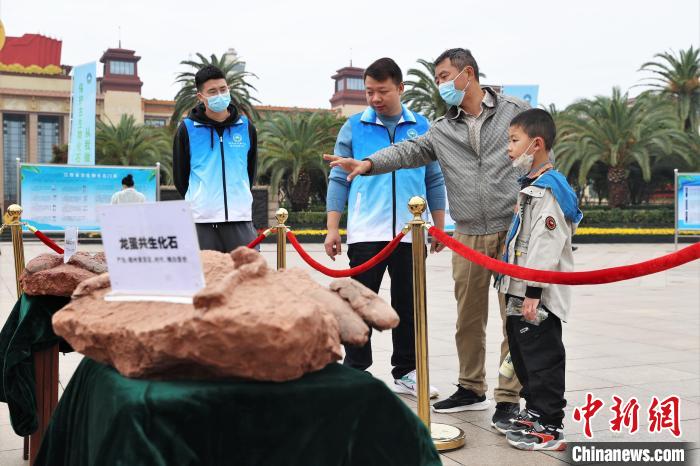 圖為2022年度江西省古生物化石保護(hù)利用科普宣傳活動南昌分會場，一位家長帶著孩子在觀看恐龍蛋化石?！⒘?攝