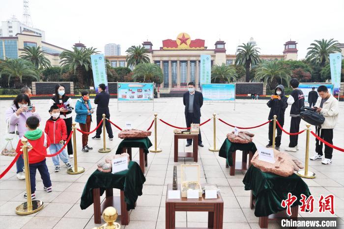 圖為2022年度江西省古生物化石保護(hù)利用科普宣傳活動南昌分會場展出的一些古生物化石吸引不少市民觀看?！⒘?攝