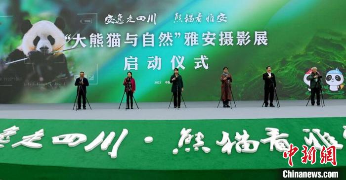 “大熊貓與自然”雅安攝影展啟動儀式現(xiàn)場?！⒅铱?攝