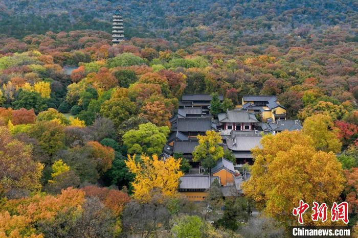 鐘山風(fēng)景區(qū)靈谷寺掩映在樹(shù)木中?！°蟛?攝