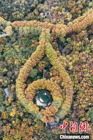航拍南京紫金山。　泱波 攝