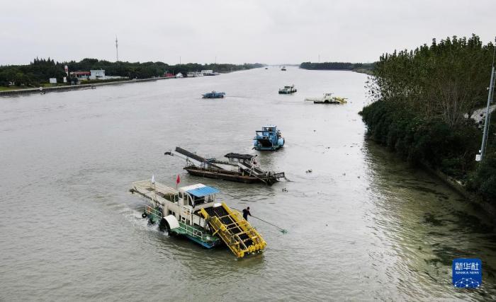 蘇浙滬三地的保潔船在太浦河水域聯合清理水面浮游植物(2020年10月15日攝，無人機照片)。當日，來自蘇州市吳江區(qū)、上海市青浦區(qū)和嘉興市嘉善縣的三名河長在位于長三角生態(tài)綠色一體化發(fā)展示范區(qū)的蘇浙滬交界水域太浦河流域附近開展聯合巡河活動。新華社記者 方喆 攝