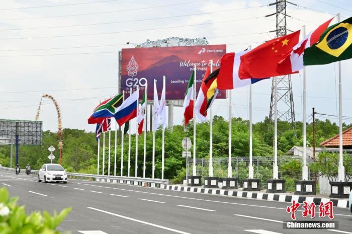 印尼巴厘島道路上G20成員國的國旗及歡迎海報。 <a target='_blank' href='/'>中新社</a>記者 李志華 攝