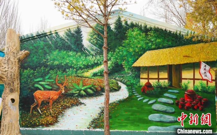 繪制好的鄉(xiāng)村墻繪。　寧夏文旅廳供圖