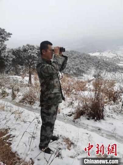 資料圖：大雪封山，護林員堅持巡查，避免積雪壓折樹木 泰安市委宣傳部供圖
