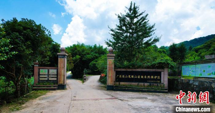 廣東連山筆架山省級(jí)自然保護(hù)區(qū)?！V東連山筆架山省級(jí)自然保護(hù)區(qū) 攝