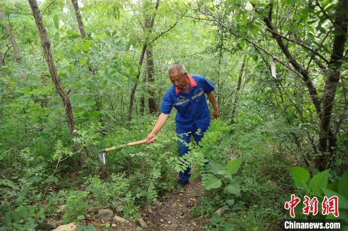 圖為張鶴珊巡護中用鐮刀開路。(資料圖) 曹建雄 攝