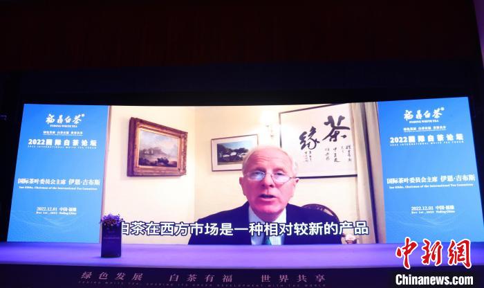 國際茶葉委員會(huì)主席伊恩·吉布斯視頻致辭。　林榕生 攝