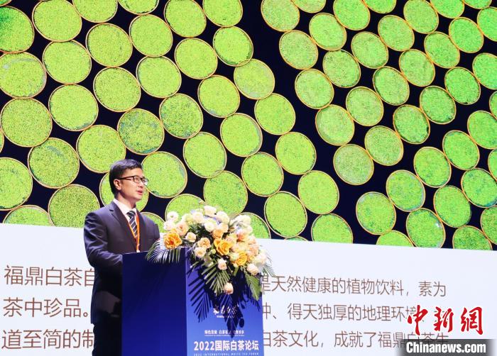 福鼎市市長周春海推介世界白茶中心項(xiàng)目?！×珠派?攝