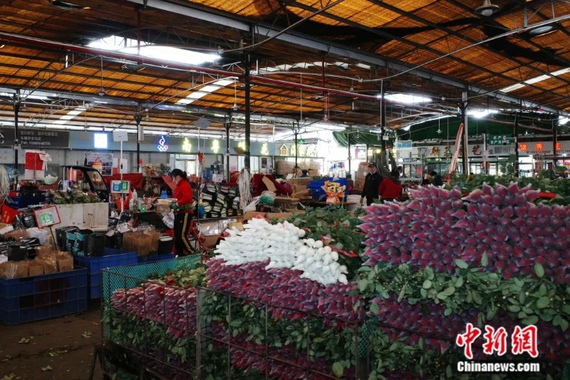 圖為嶺南花卉市場。<a target='_blank' href='/'>中新社</a>記者 陳楚紅 攝