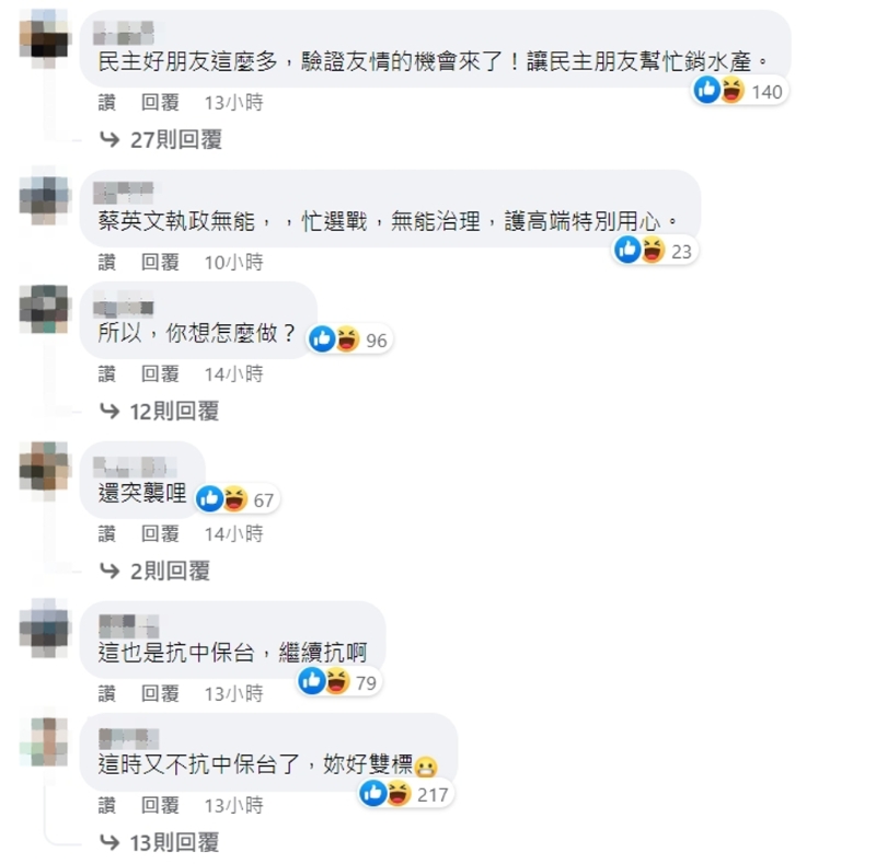 臉書網(wǎng)友留言。（圖／截自蔡英文臉書）