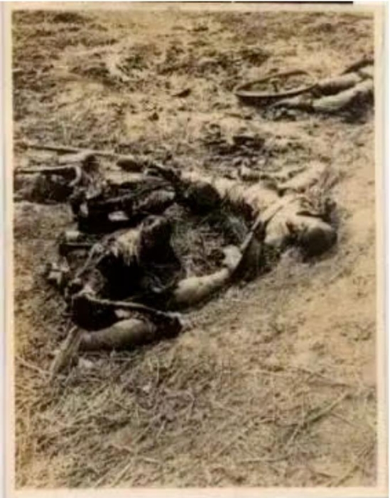 南京郊外被日軍屠殺的中國人尸體。圖源：侵華日軍南京大屠殺遇難同胞紀(jì)念館網(wǎng)站