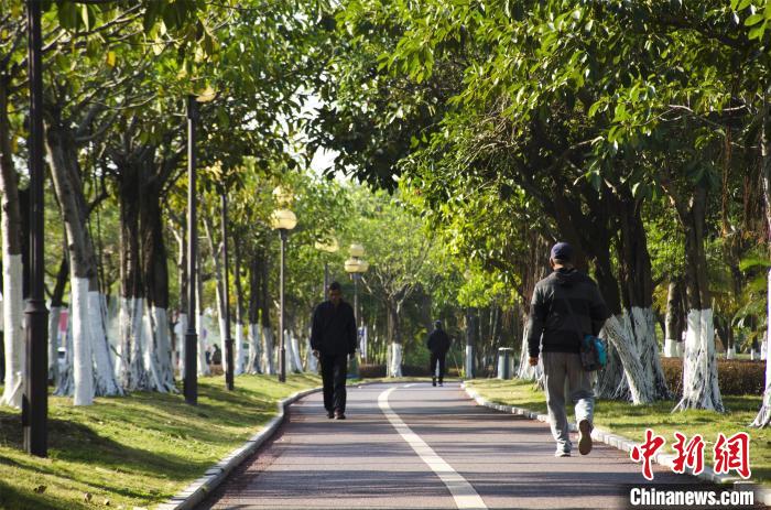 圖為市民、游客在海灣綠道散步?！〉岳顝?攝