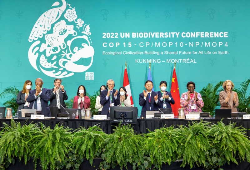 12月19日，《生物多樣性公約》第十五次締約方大會（COP15）第二階段會議通過“昆明-蒙特利爾全球生物多樣性框架”。（圖源：路透社）