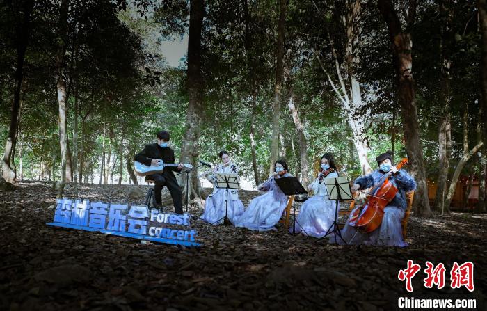 森林音樂(lè)會(huì)。　蕉城區(qū)融媒體中心 供圖