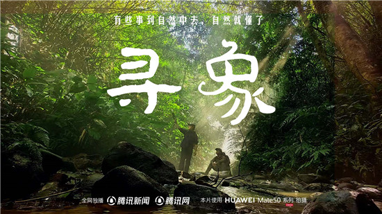去雨林深處，聽大象長吟，自然紀錄片《尋象》正式上線！