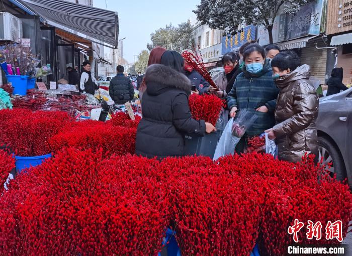 圖為春節(jié)期間的花市幾乎成為“紅色汪洋”?！钣㈢?攝