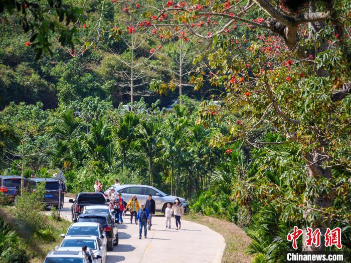 （新春走基層）海南昌江王下鄉(xiāng)木棉鬧春大山深處黎村成網紅打卡地