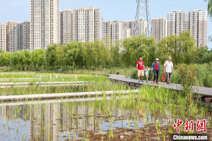 圖為永定河公園濕地。　北京市園林綠化局供圖