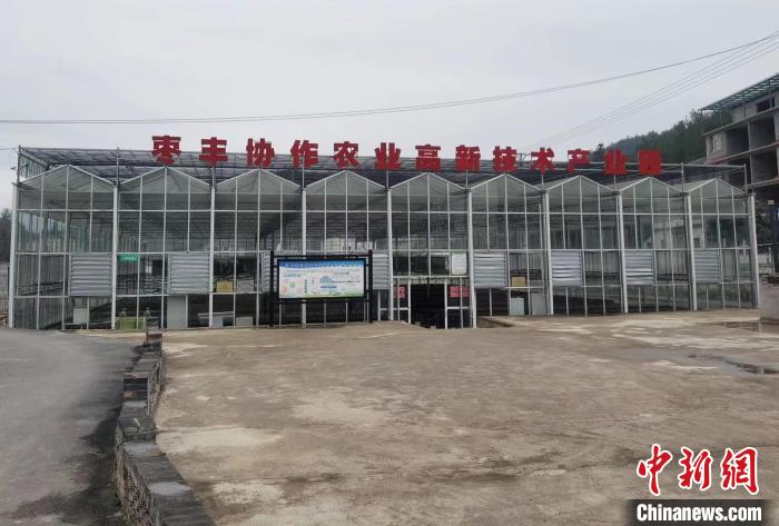 圖為位于豐都縣仙女湖鎮(zhèn)的棗豐協(xié)作農(nóng)業(yè)高新技術(shù)產(chǎn)業(yè)園?！顗粢?攝