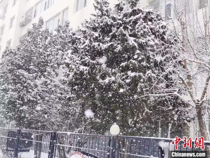 圖為呼和浩特迎降雪?！±類燮?攝