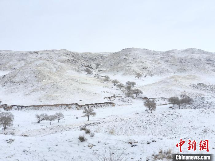 圖為內(nèi)蒙古迎降雪。　內(nèi)蒙古自治區(qū)氣息局供圖