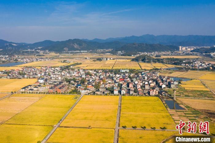 資料圖：杜黃新村一景。　黃俊皓 供圖