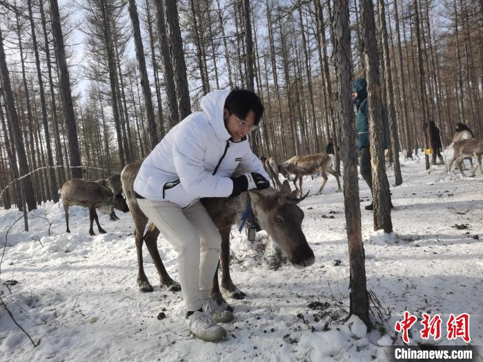 圖為與馴鹿合影的臺(tái)灣青年們?！±類燮?攝