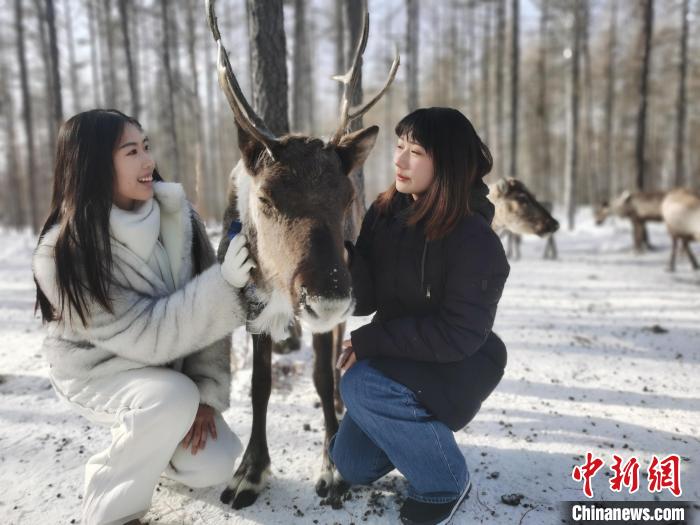 圖為與馴鹿合影的臺(tái)灣青年們?！±類燮?攝