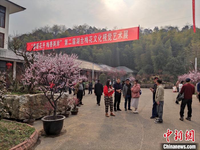 浙江湖州臺(tái)胞臺(tái)屬“細(xì)嗅梅香”：推進(jìn)兩岸梅文化發(fā)展
