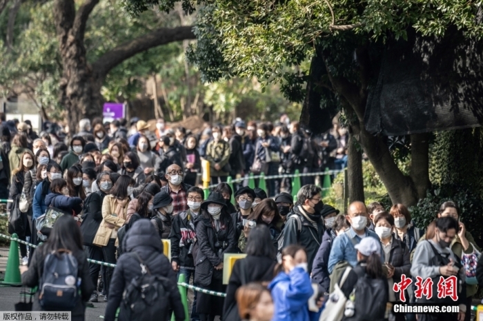 中簽的“幸運(yùn)兒”按預(yù)約時(shí)間段前往大熊貓館等待與“香香”道別。