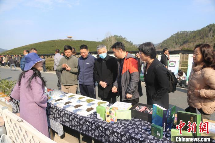 市民游客咨詢、品嘗千島湖茶?！⊥踅ú?攝