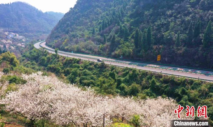 三峽專用公路穿越崇山峻嶺。　毛翔春 攝
