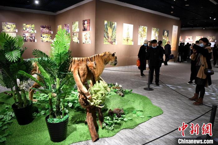 市民觀看靈動鮮活的動物標本。　王東明 攝