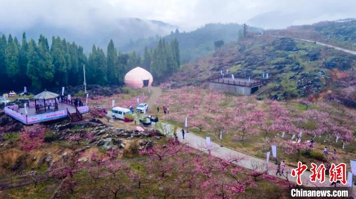 達(dá)塘村一景?！⊥鯚?供圖
