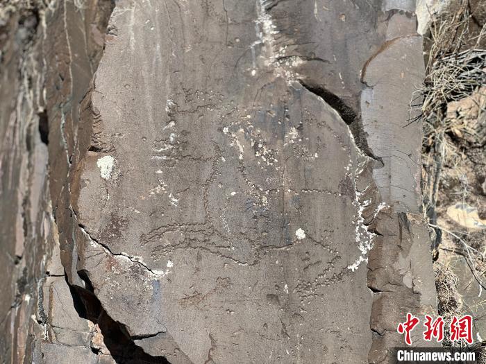 圖為稱多縣境內(nèi)的巖畫。　李江寧 攝