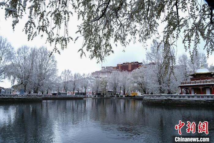 3月30日，春雪與布達(dá)拉宮?！〗w波 攝