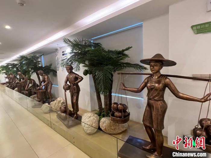 春光椰子王國(guó)里的椰子文化展示?！÷访?攝