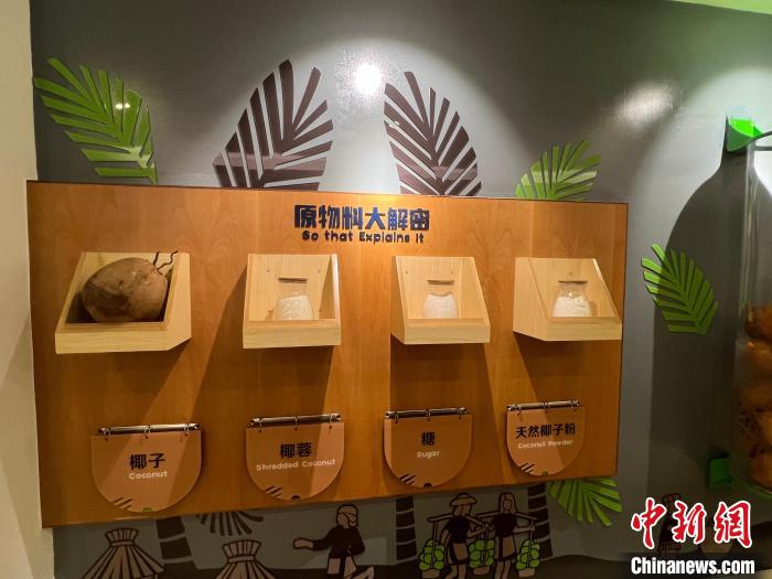 春光椰子王國(guó)里的椰子糖原物料展示?！÷访?攝