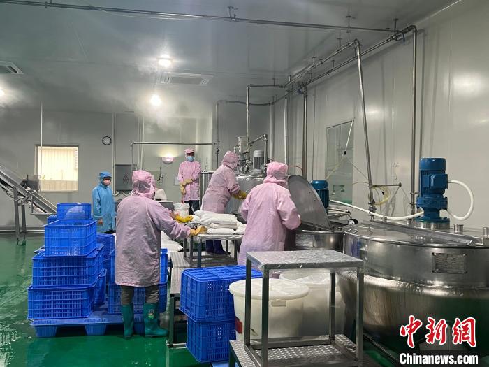 鮮友的生產(chǎn)車間內(nèi)，員工正在制作果汁產(chǎn)品?！÷访?攝