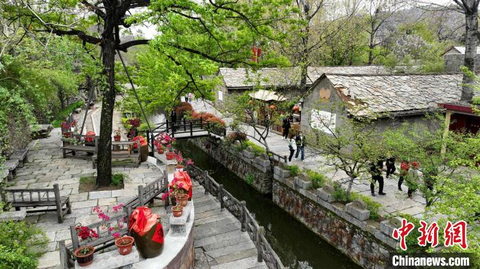 資料圖：蘭陵縣壓油溝景區(qū)內(nèi)仿古的石頭房、整齊的青石板路吸引游客參觀。(無人機(jī)照片) 劉芳芳 攝
