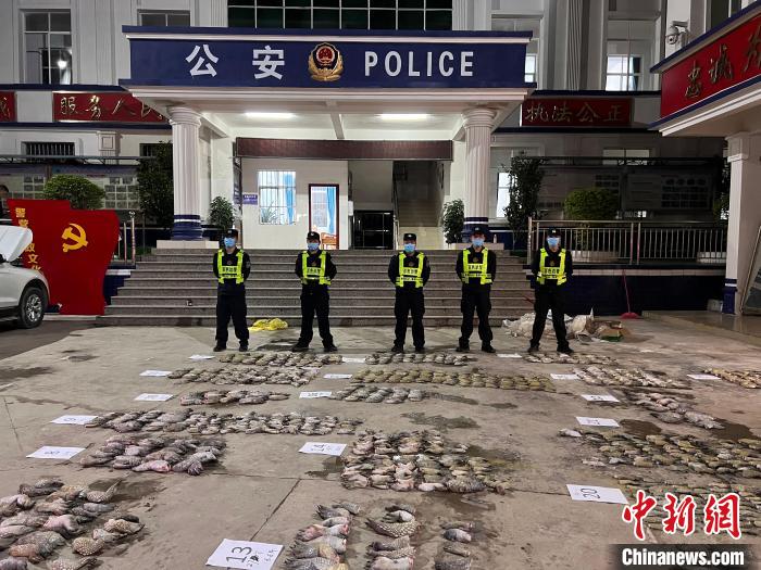 圖為移民管理警察對鱷魚爪清點(diǎn)標(biāo)號?！∴嚩赜?攝
