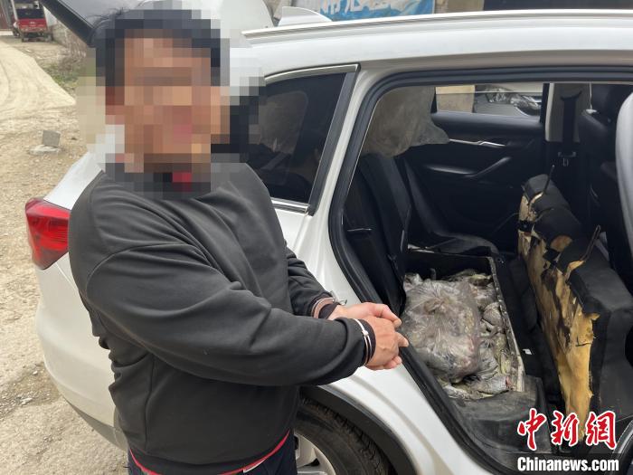 圖為嫌疑人對無合法手續(xù)鱷魚爪進(jìn)行指認(rèn)?！∴嚩赜?攝
