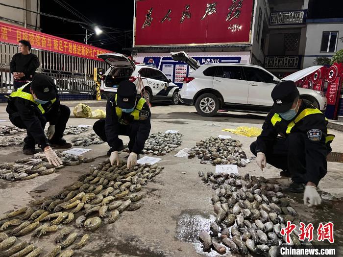 圖為移民管理警察對查獲的鱷魚爪進(jìn)行清點(diǎn)?！∴嚩赜?攝