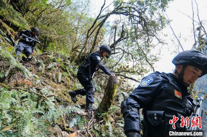 4月9日，拉郊邊境派出所移民管理警察在邊境地區(qū)原始森林進行戍邊巡邏?！〗w波 攝