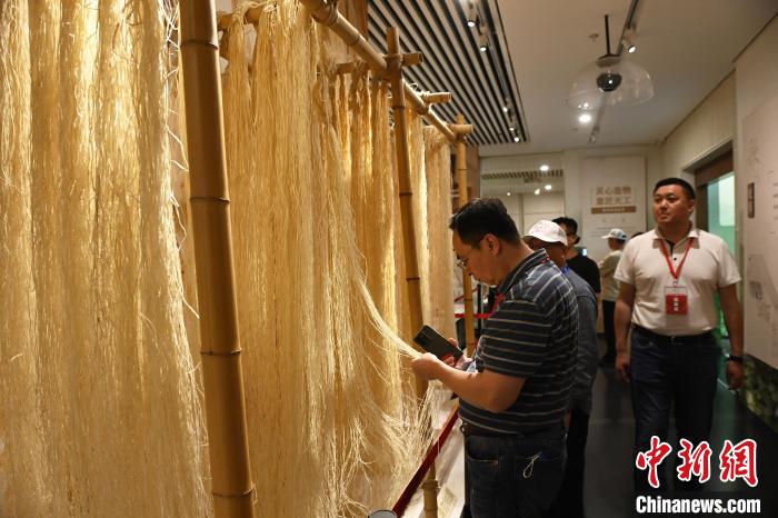 海外華文媒體嘉賓們參觀夏布博物館?！￡惓?攝