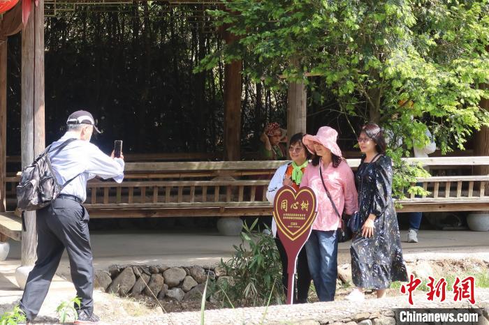 幾位臺胞在兩岸同心樹下合影，共植之樹今已亭亭如蓋。　董易鑫 攝